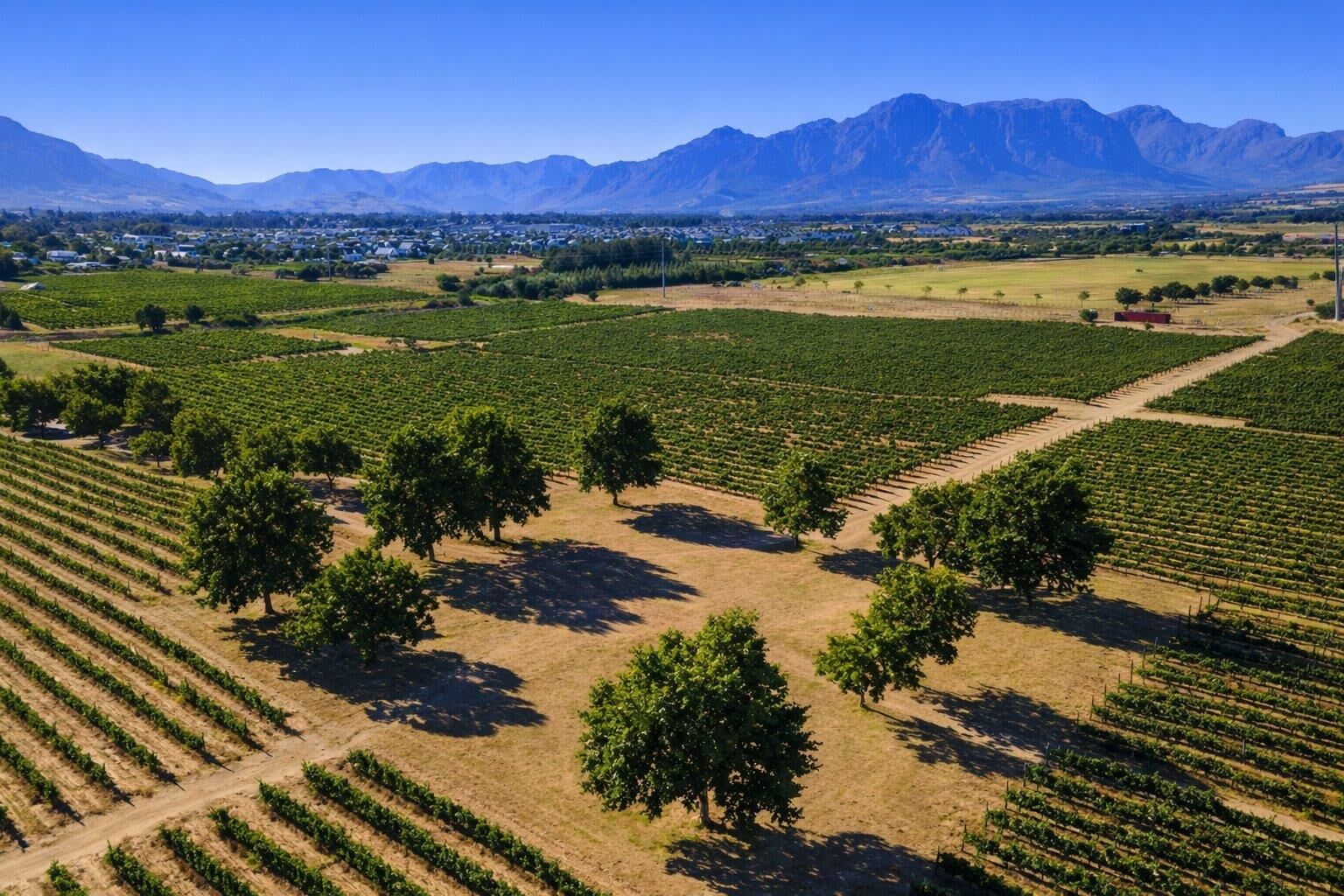 Farm For Sale in Val de Vie Estate, photo 3