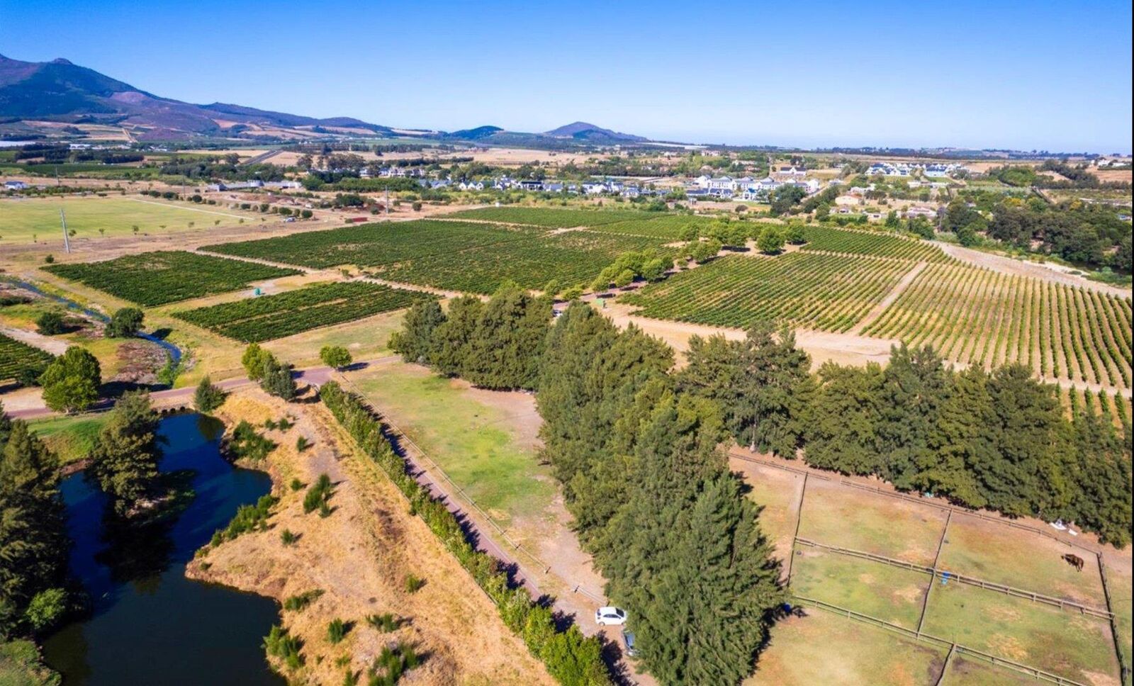 Farm For Sale in Val de Vie Estate, photo 5