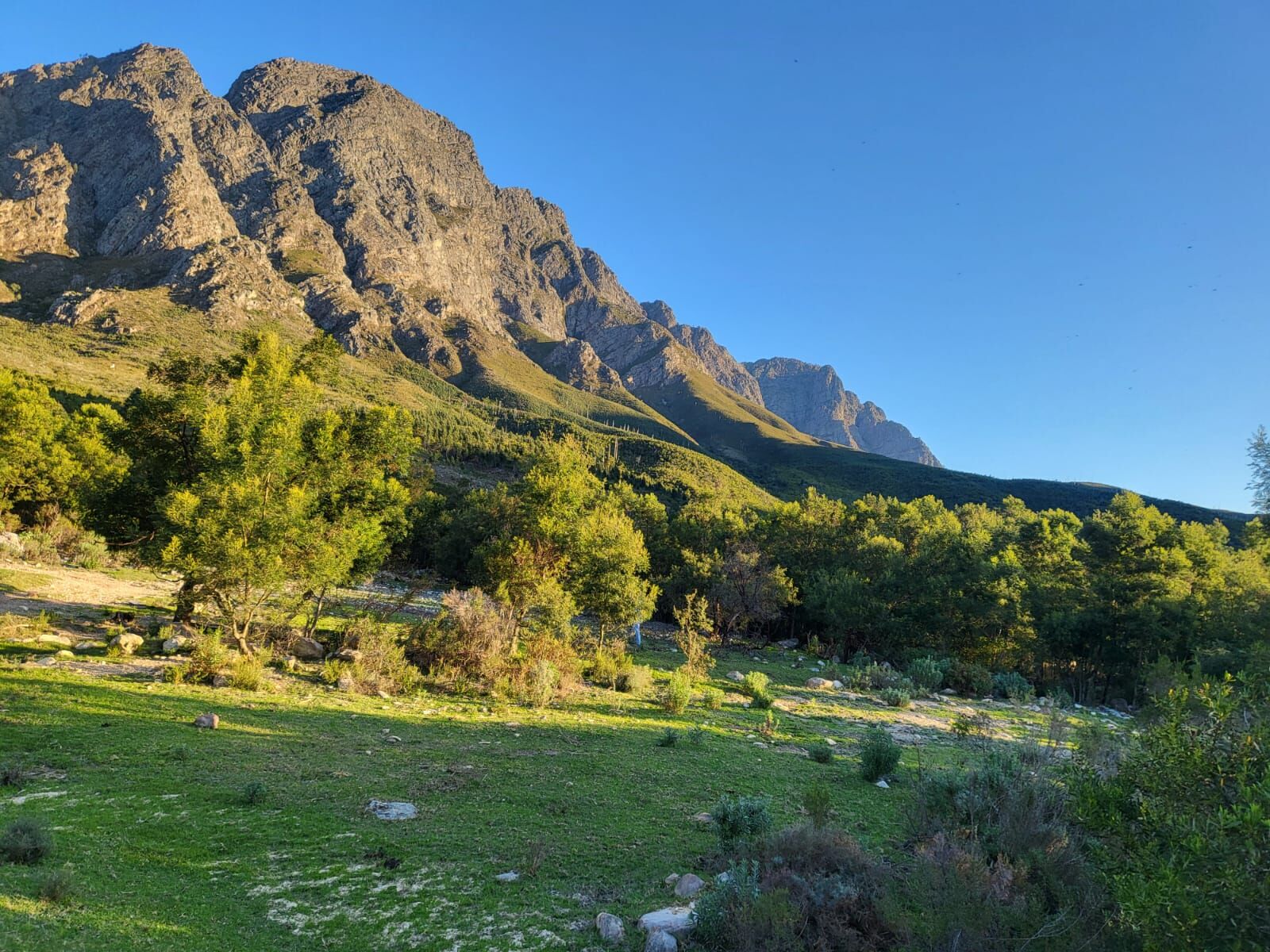 59Ha Farm For Sale in Franschhoek, photo 12