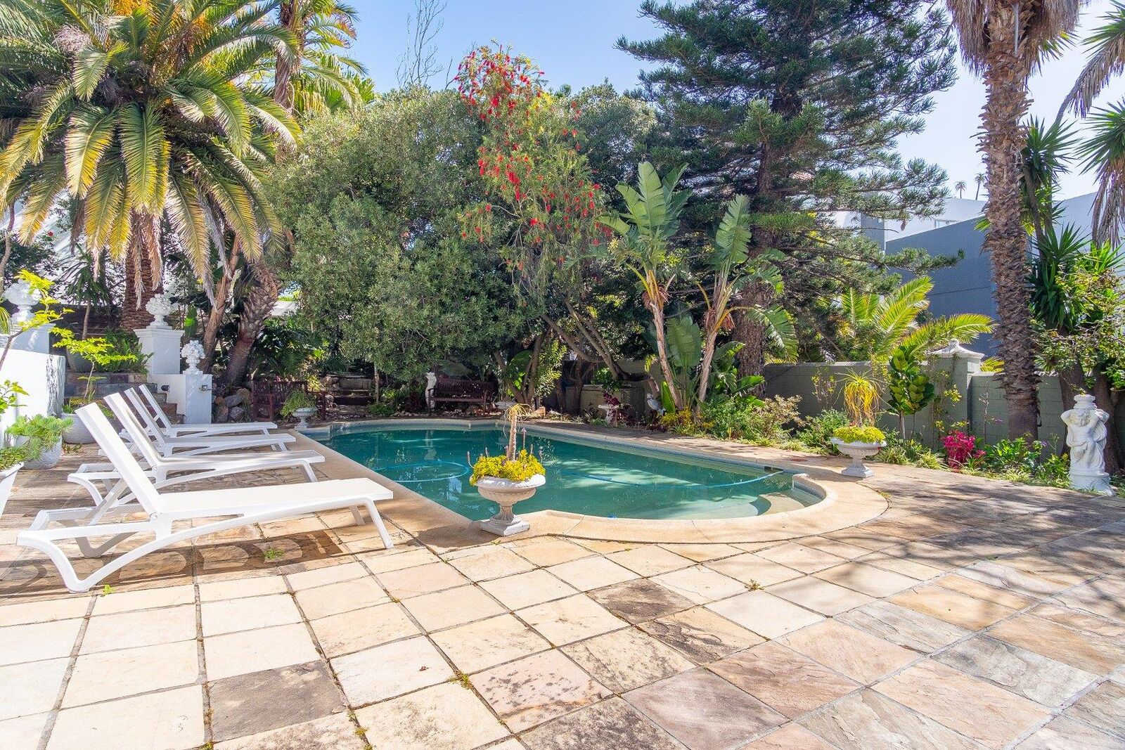 3 Bedroom House To Let in Fresnaye, photo 3